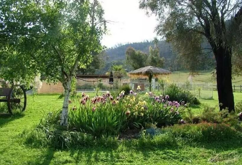 Berner B&b, Halls On Falls Homestead