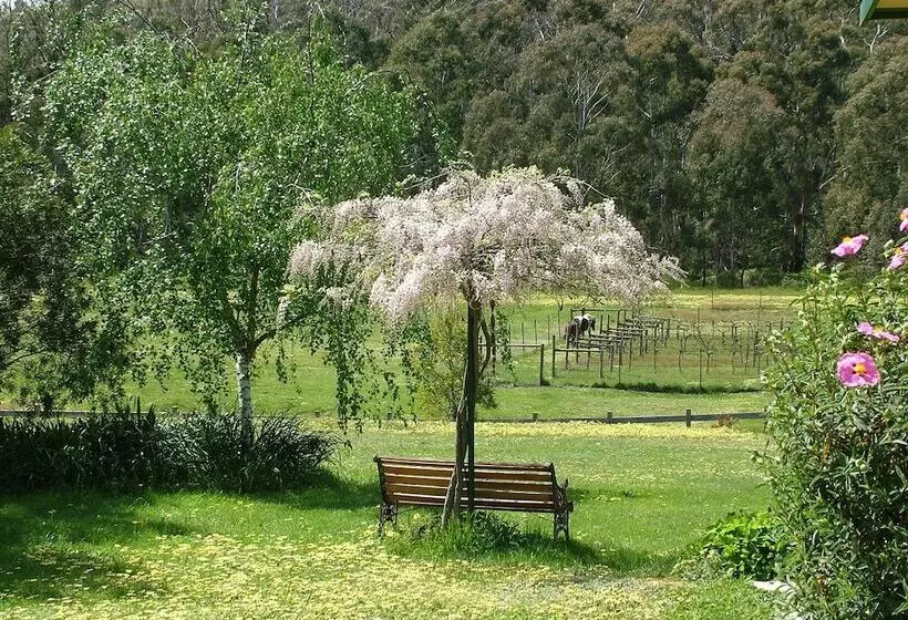 Berner B&b, Halls On Falls Homestead