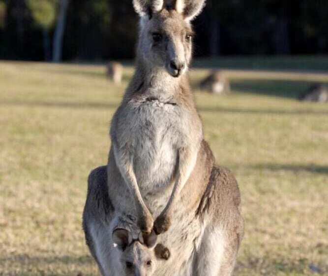 Berner B&b, Halls On Falls Homestead