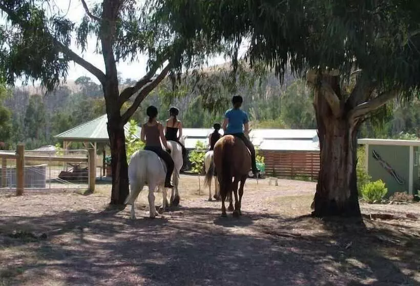Berner B&b, Halls On Falls Homestead
