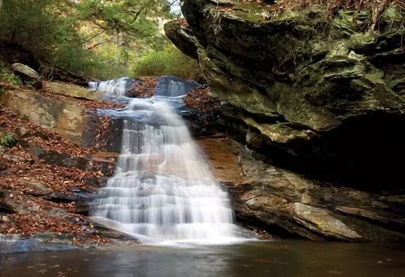 Hotelli Bright S Creek Lodge