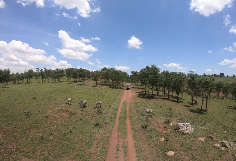 هتل Game Haven Lodge