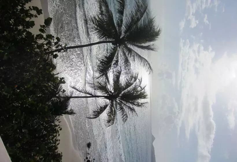 هتل Petite Anse