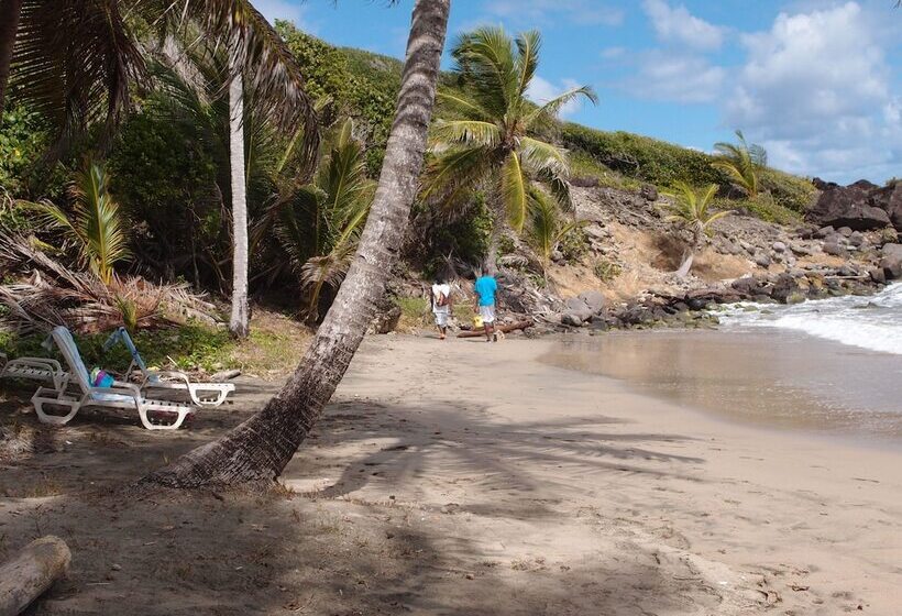 Hotel Petite Anse