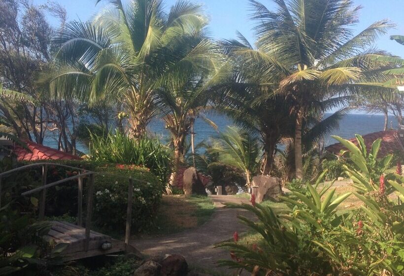 Hotel Petite Anse