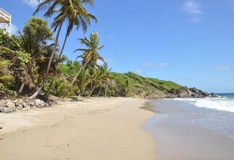 Hotel Petite Anse