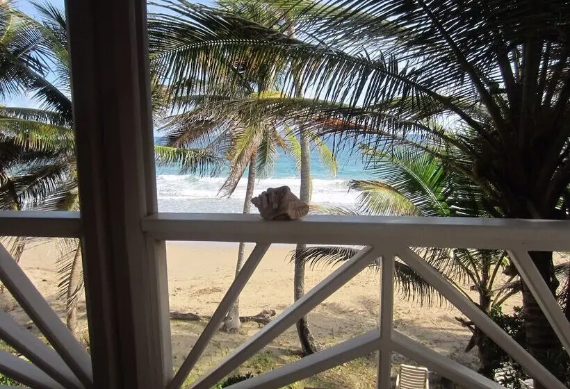 Hotel Petite Anse