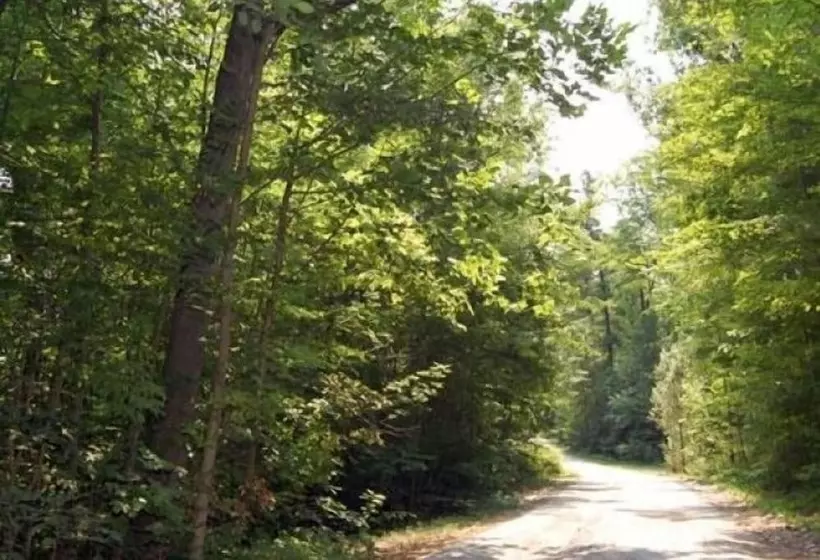 Hotelli St Clair Rv Resort