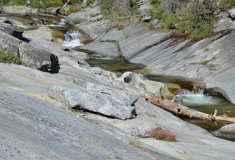 酒店 Stony Creek Lodge