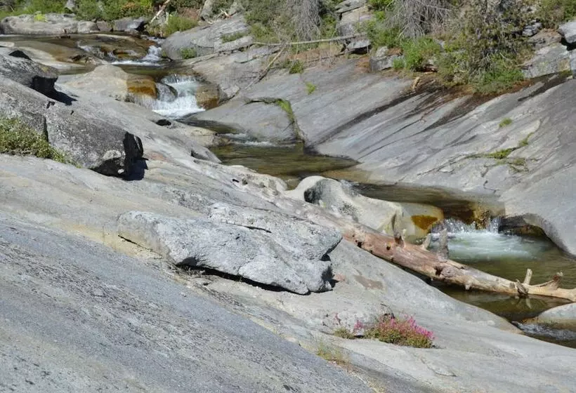 Hotelli Stony Creek Lodge