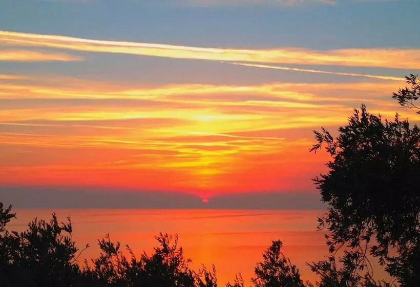 Majatalo Aleka S House