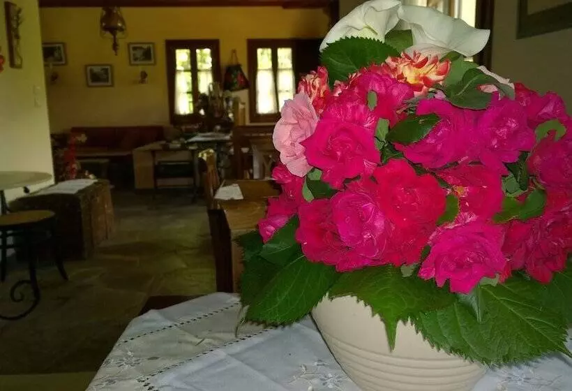 Majatalo Aleka S House