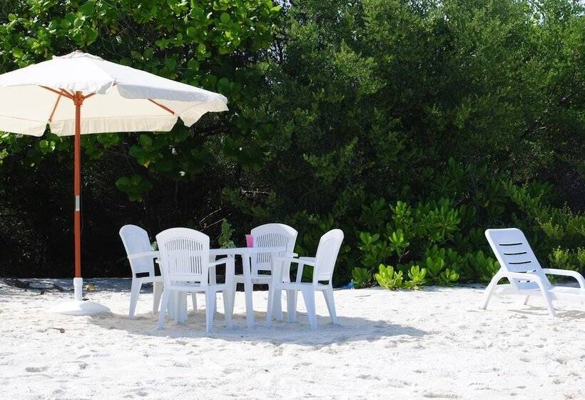 پانسیون Azoush Tourist Guesthouse