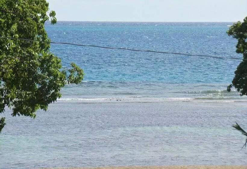 پانسیون Coco Rose Guesthouse