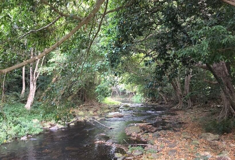 リゾートホテル Cairns Crystal Cascades Holiday Park