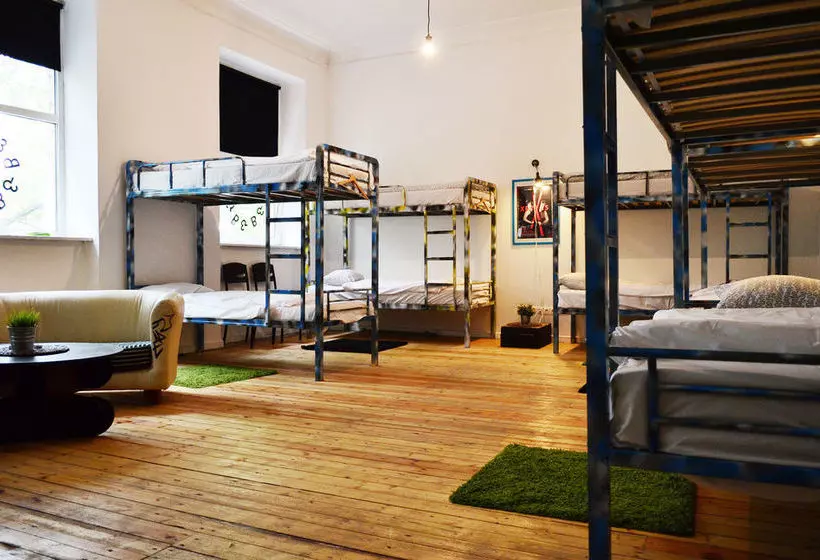 Общежитие B&b&b&b&b