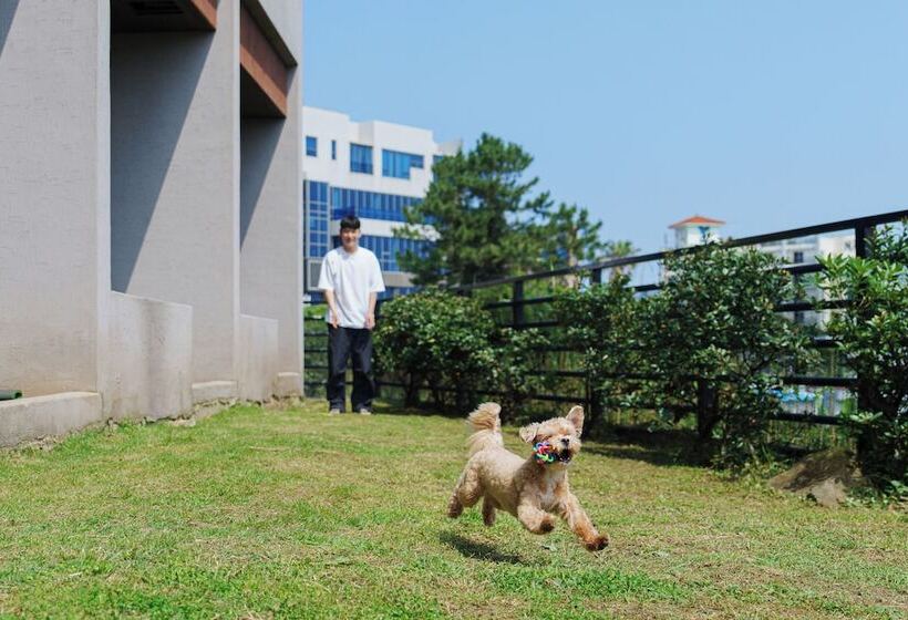 Hotell Frame Pension