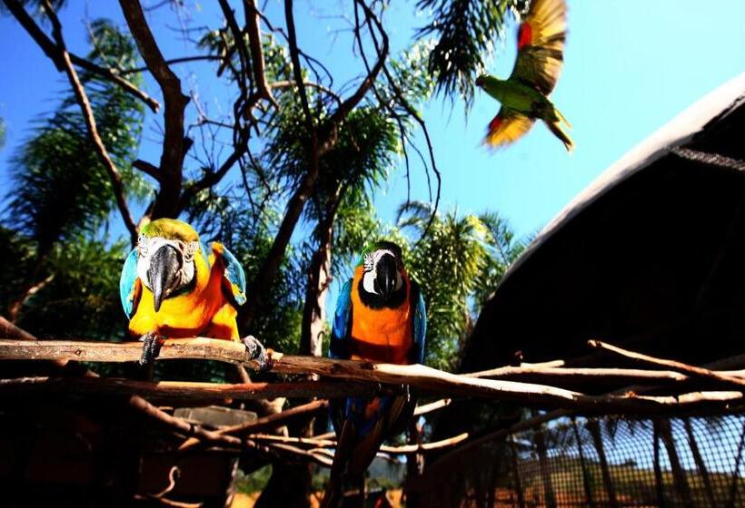 호텔 Oscar Inn Eco Resort