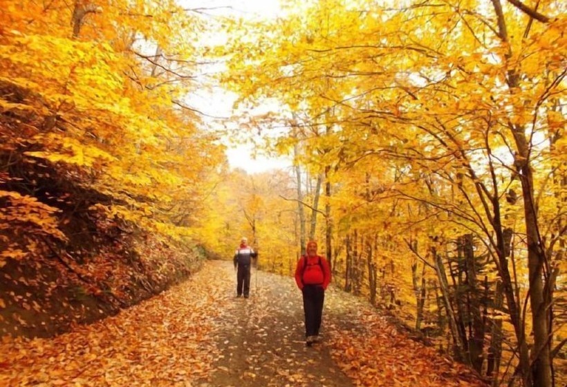 Ida Natura Life Style Otel Kazdaglari