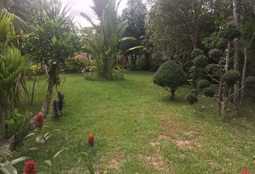 پانسیون Bloom Garden Guesthouse