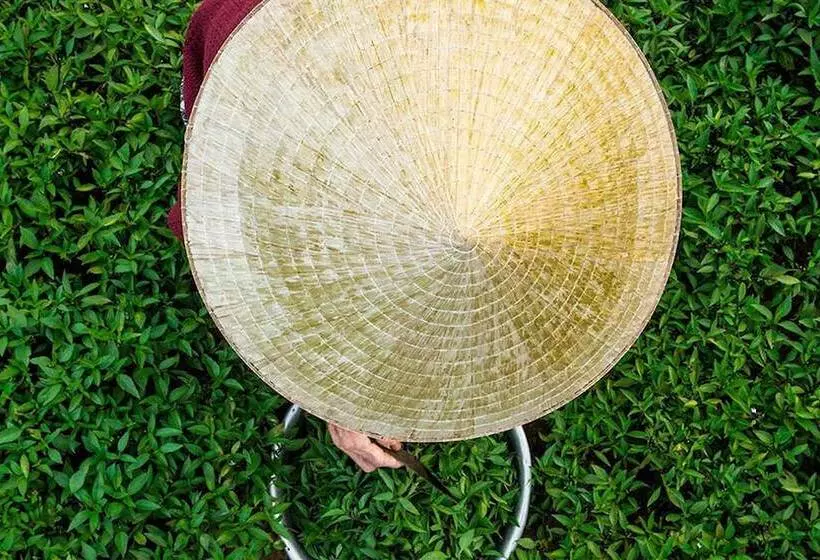 پانسیون Cam Nam Homestay