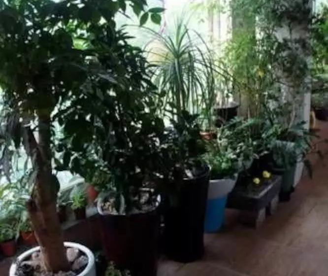 膳宿费 Denis's House