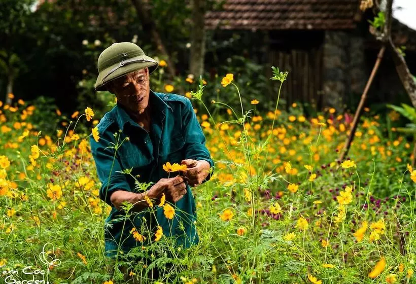 Tam Coc Garden Resort