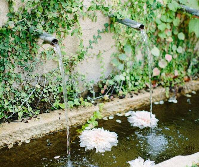 Bed and Breakfast Seven Branches Venue And Inn