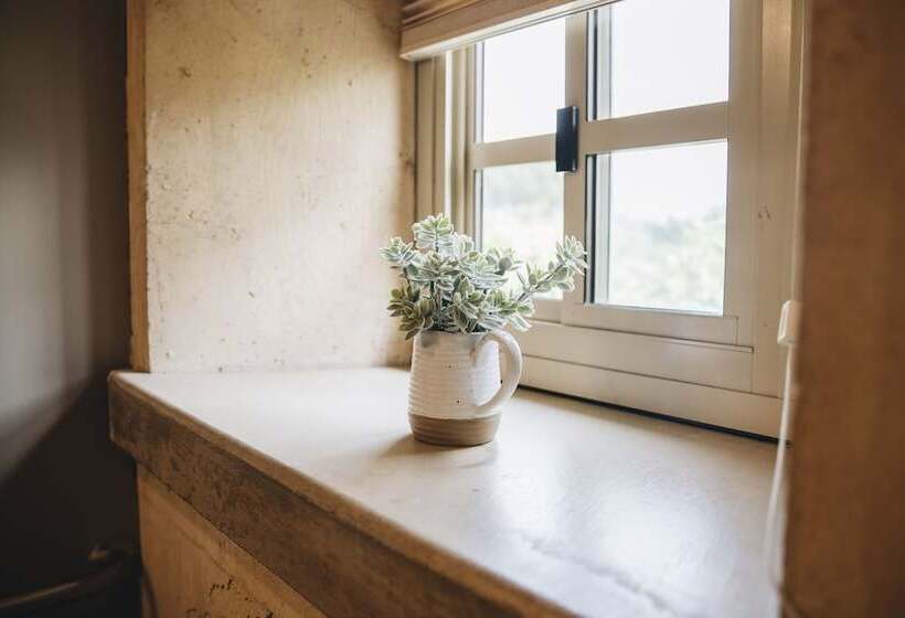 Bed and Breakfast Seven Branches Venue And Inn