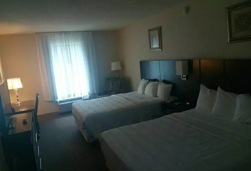 ホテル Gold Vault Inn