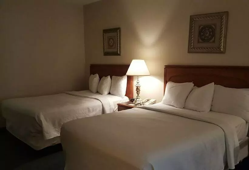 ホテル Gold Vault Inn