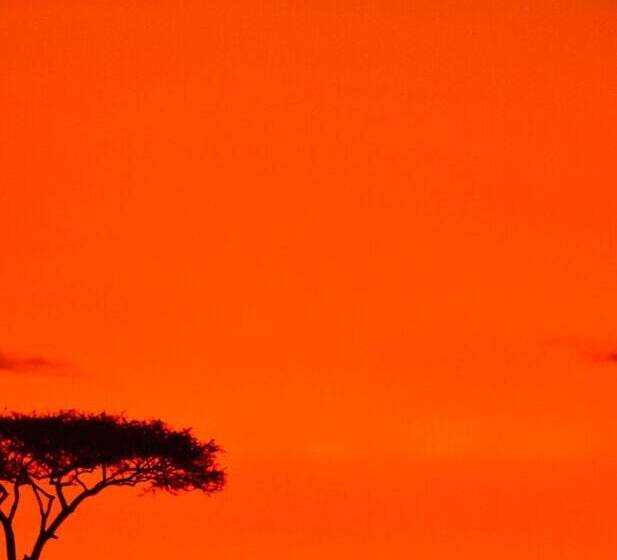 هتل Lorian Safari Camp