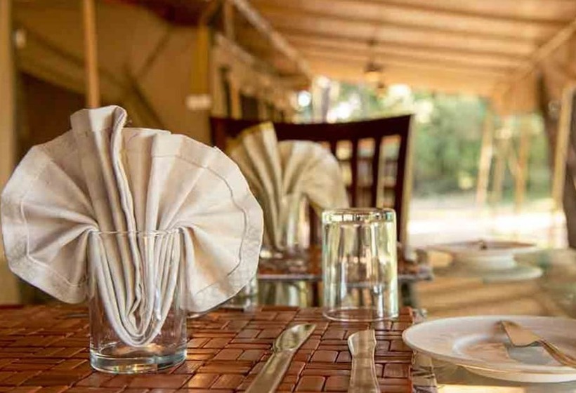 هتل Lorian Safari Camp