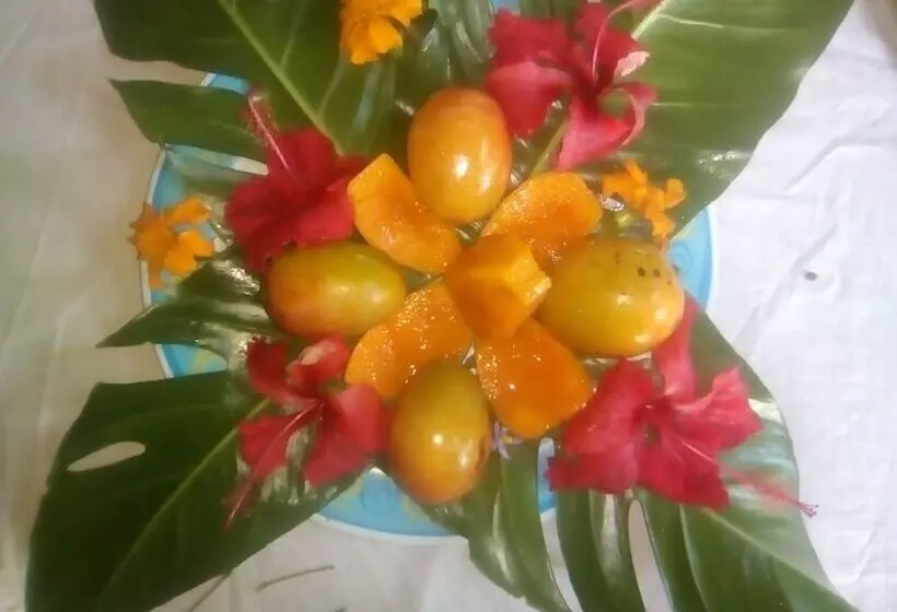 هتل Tanna Lava View Bungalows