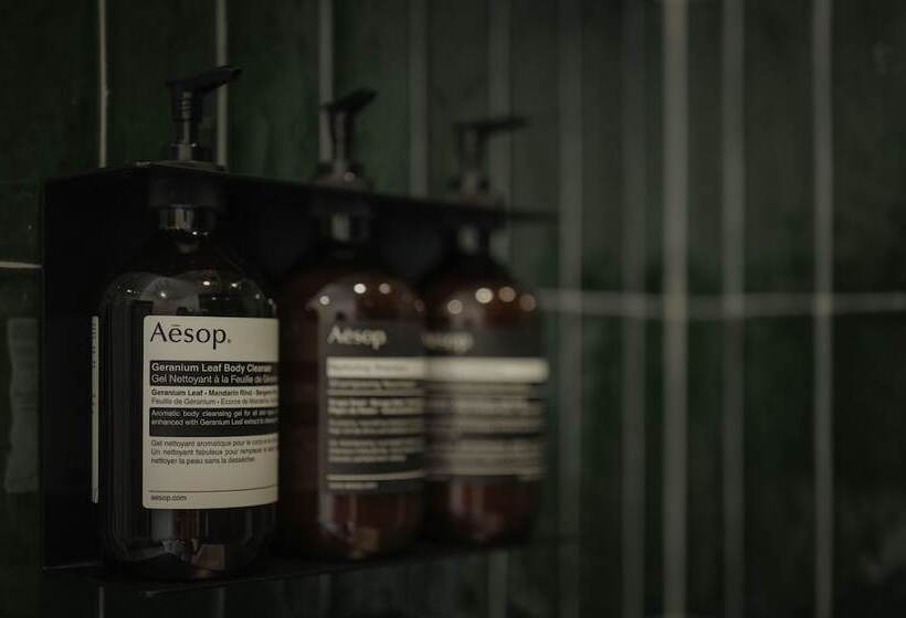 فندق The Rochester