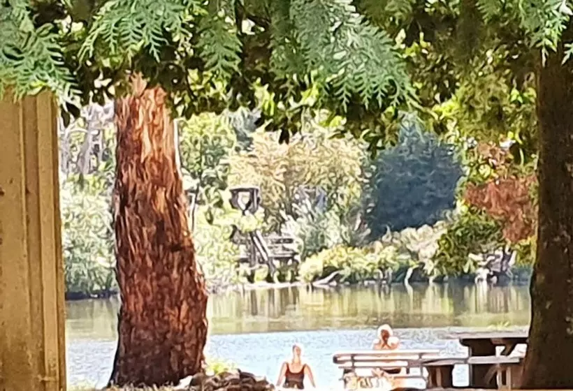 Abelia Cottage Of Daylesford Botanical