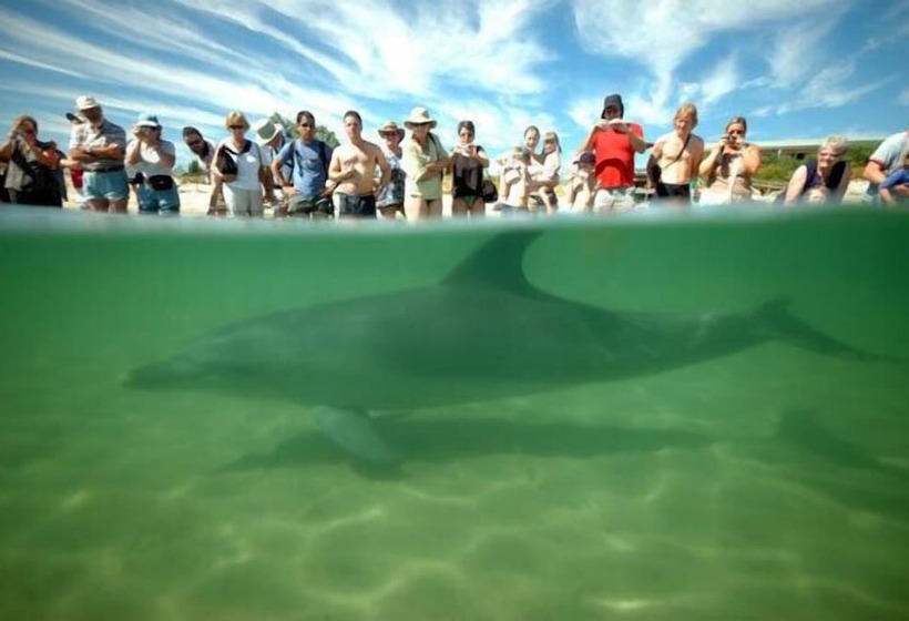 ユースホステル Wander Inn – Bunbury Backpackers