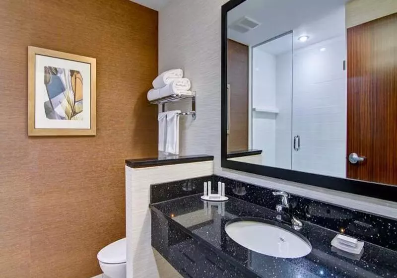 ホテル Fairfield Inn & Suites By Marriott Kamloops