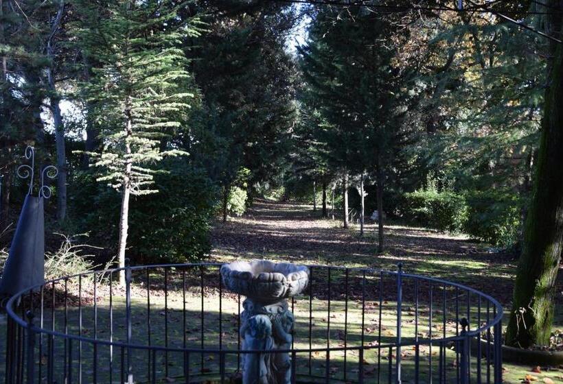 ホテル Il Boschetto