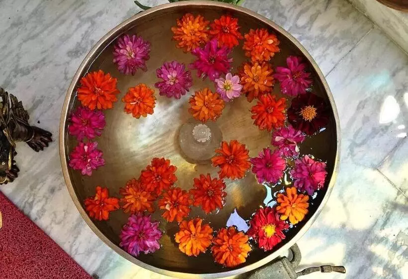 پانسیون Shakya House