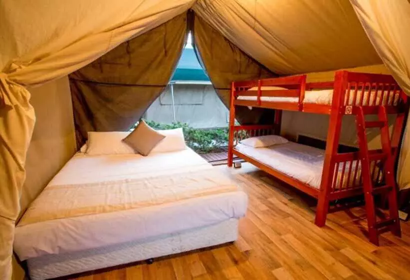 Discovery Parks Harrington