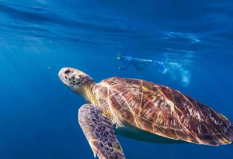 Отель Bubu Villa