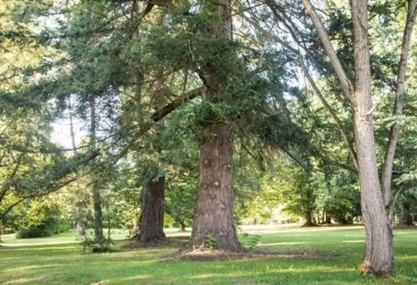 ペンション Chateau De Maraval