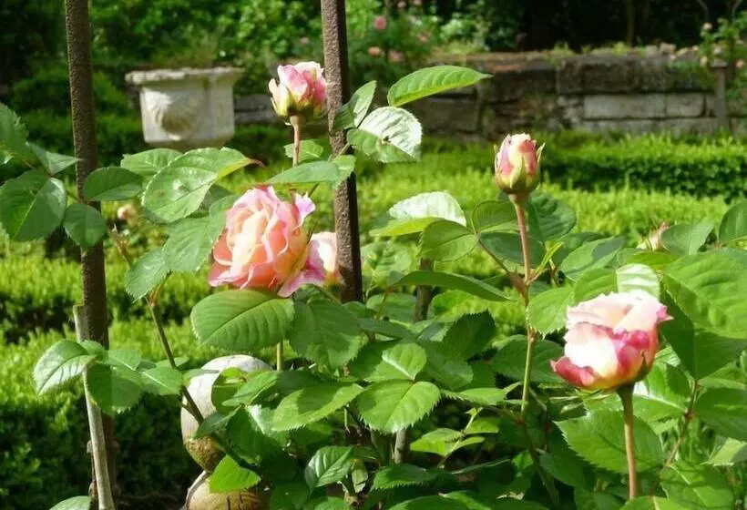 צימר Manoir De Boisairault