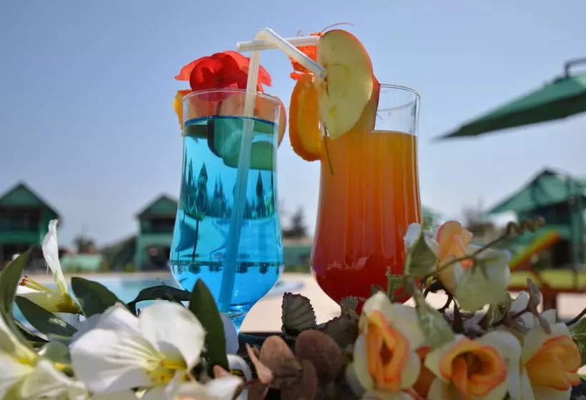 Flourish Wellness Resort