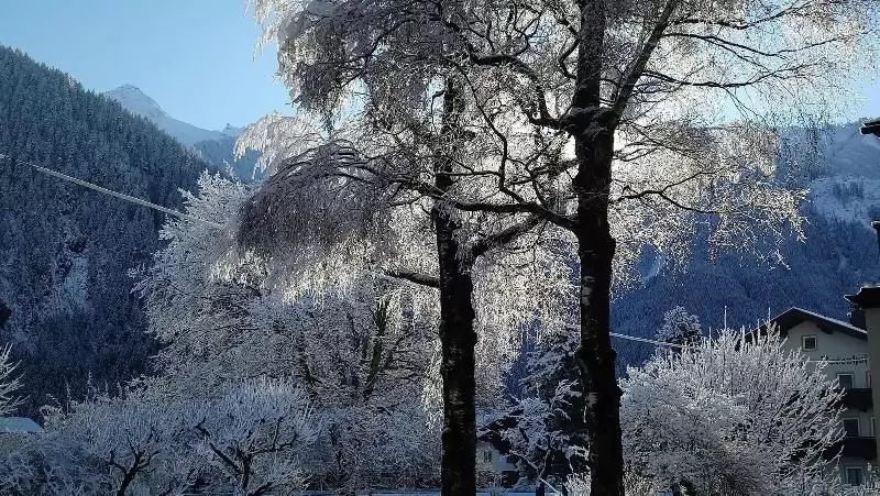 هتل Garni Birkenhof