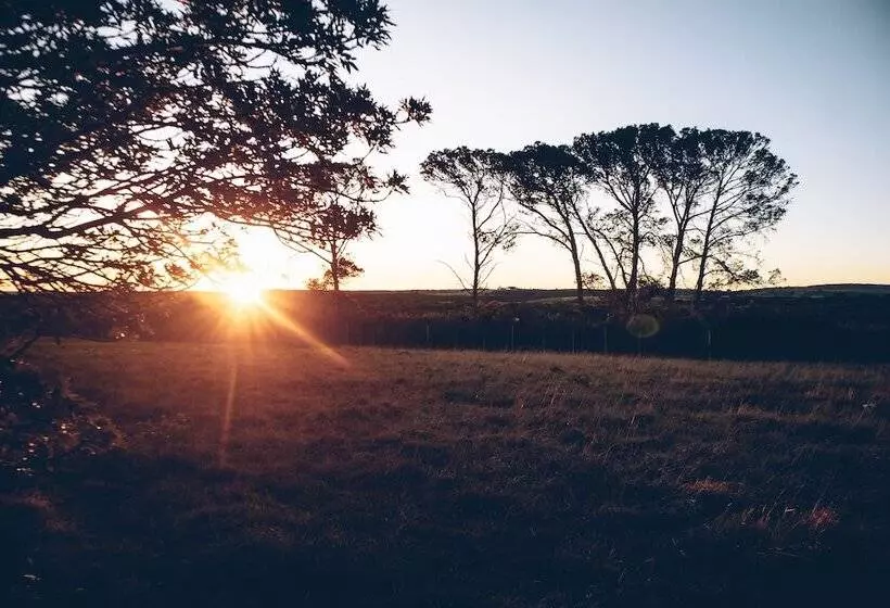 ホテル Mansfield Private Reserve