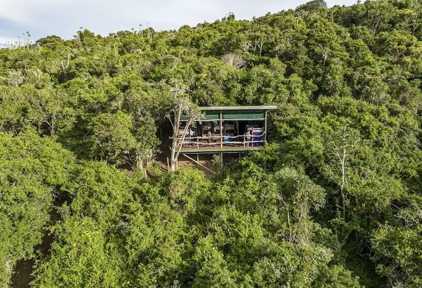 ホテル Mansfield Private Reserve