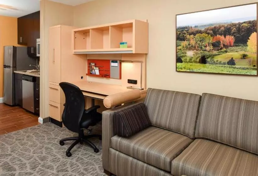 酒店 Towneplace Suites By Marriott Detroit Commerce