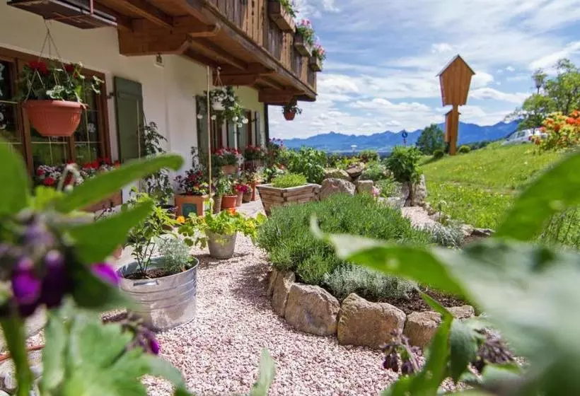 Moor&mehr Bio Kurhotel Bad Kohlgrub